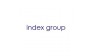 Index Group