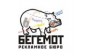 Бегемот