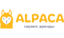Alpaca